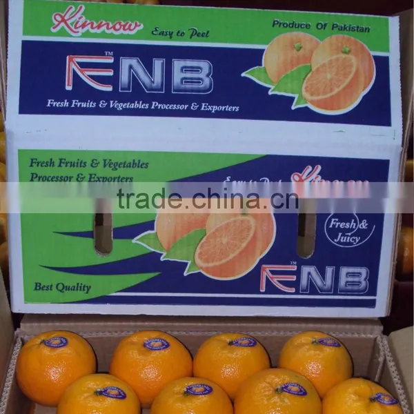 Mandarin  Orange