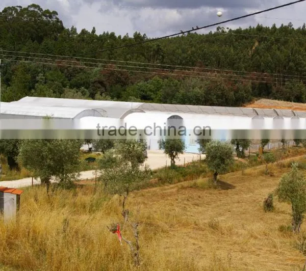 Eco-Friendly Solar Powered Greenhouse for Saving Water Hydroponics photo-6