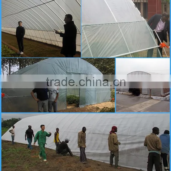 Film Cover Material and PE Material Small Greenhouse Wholesale photo-5