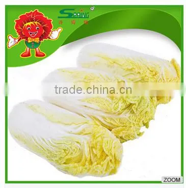Cheap Cabbage photo-2
