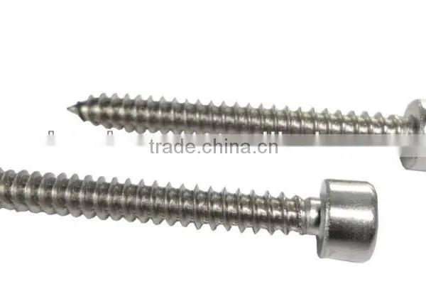Hex Socket Stainless Steel Self Tapping Screws