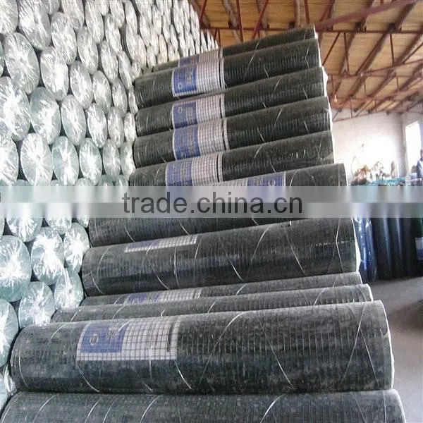 50*50 mm Epoxy Coated Welded Wire Mesh photo-3