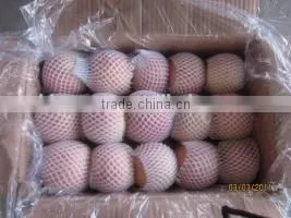 2015 Chinese Fresh Sweet Fuji Apple With Good Quality photo-6