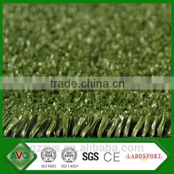 Golf Putting Green Bicolor Grass photo-2