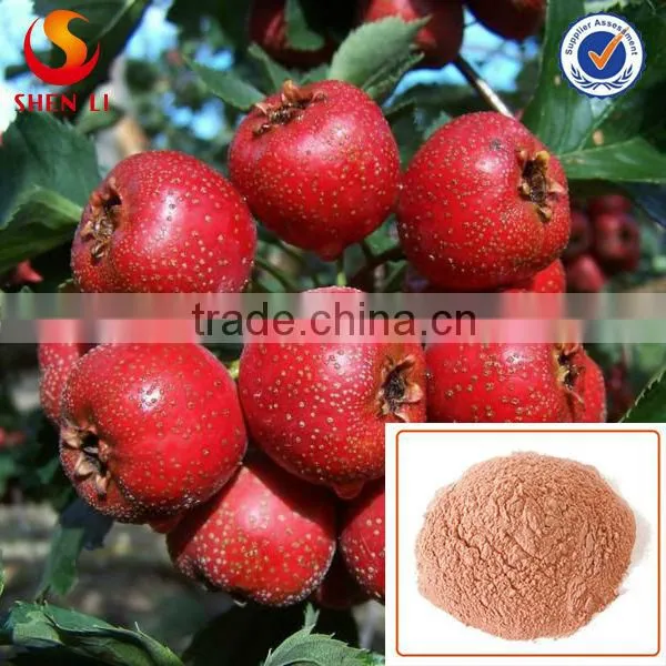 Freeze Dried Hawthorn Berry Powder Herbal Fruit Powder photo-2
