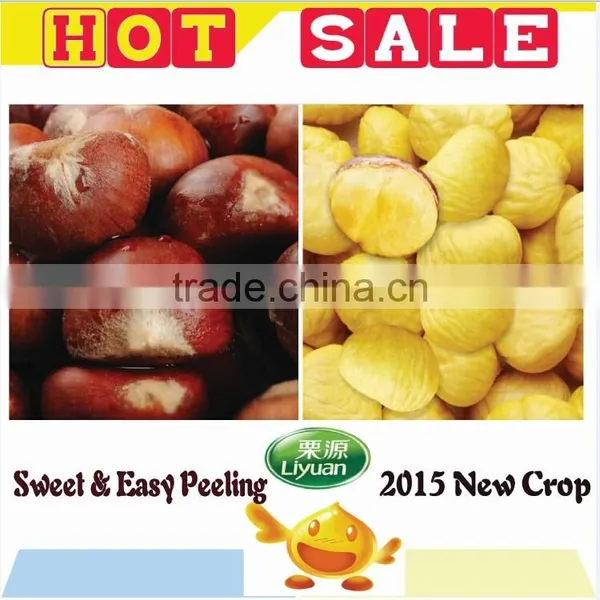 2015 New Crop Bulk Organic Fresh Chestnuts for Sale