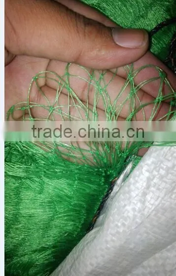 PE Nets Anti Bird Netting(Extruded) photo-6