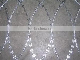 Barbed Wire Length per Roll / Weight Barbed Wire ( Factory ) photo-4