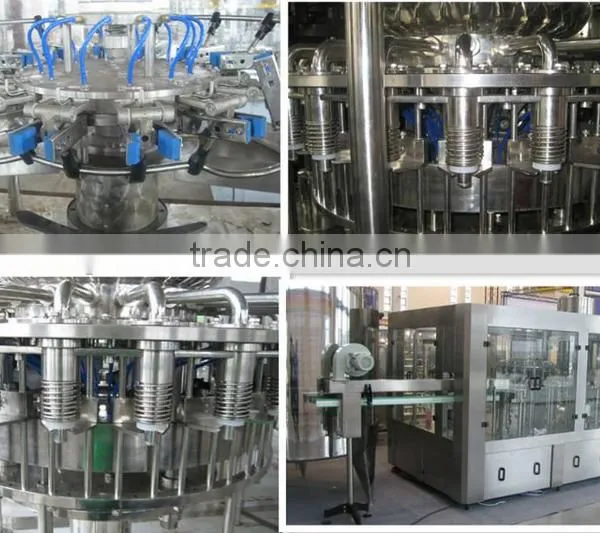 Juice Pet Bottle Fill -Capping Machine photo-3