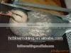 Hunting Equipment/hunting Accessory/hunting Decoys/imager for Hunting photo-2