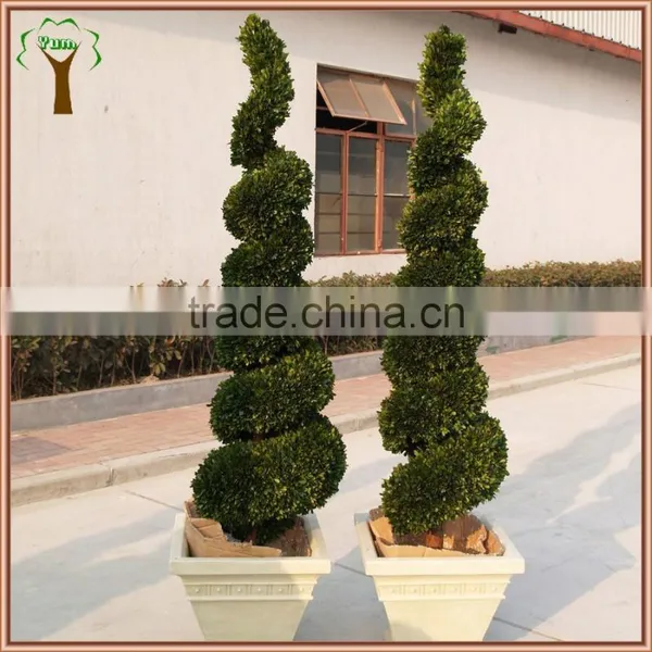 Commercial Decorative Preserved Spiral Boxwood Topiary photo-2