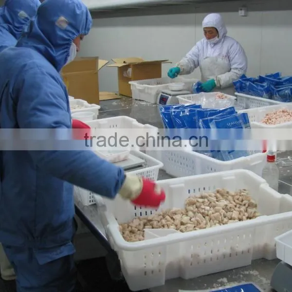 Seafood Medly photo-5