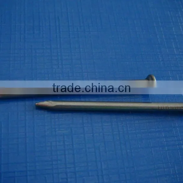China Factory Common Wire Nail Products photo-5