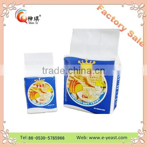 Export Low Sugar Instant Dry Yeast to Africa Market photo-2