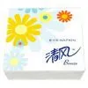 Paper Napkins-B75AH