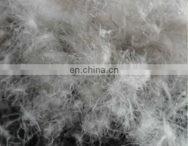 90% Washed White Duck Down Feather photo-3