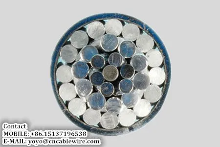 ACSR photo-2