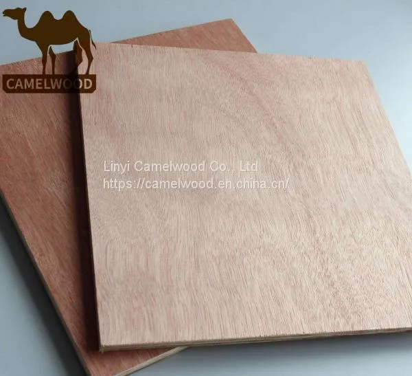 China Factory Supply High Quality Commercial Plywood for Decoration photo-4