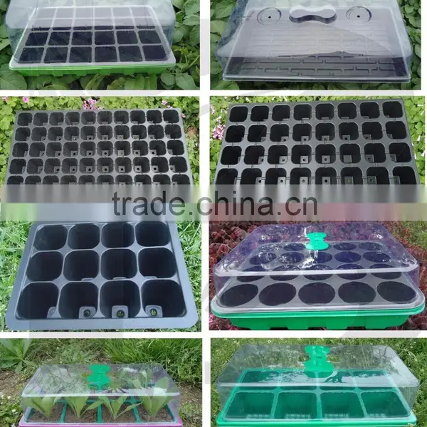 Garden Plastic Seed Planter Tray for Greenhouse--RGR1066 photo-2