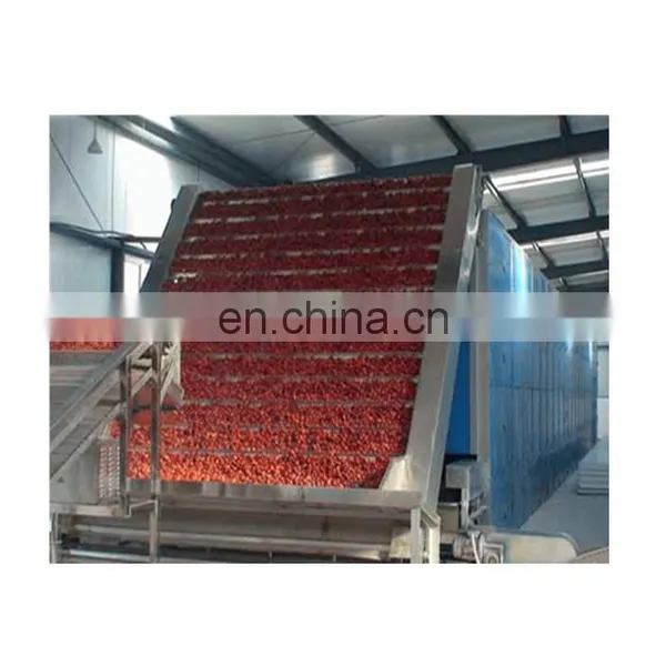 Best Selling Red Chilli Drying Machine /fruit Drying Machine photo-2