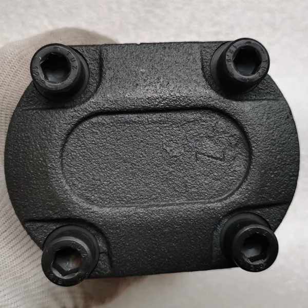 OCEANUS GEAR PUMP photo-5