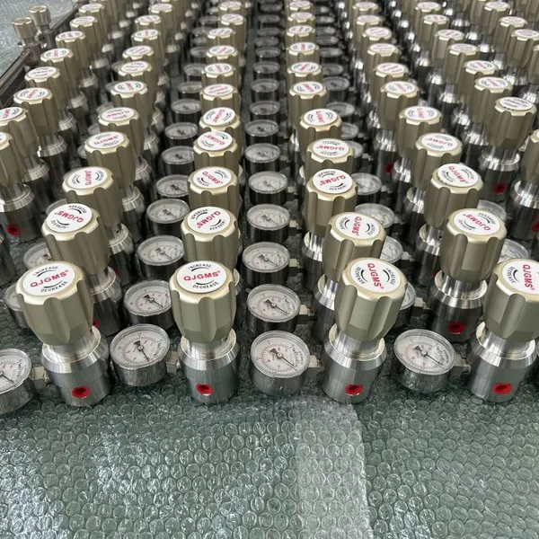 Stainless Steel Secondary Single Gauge Pressure Regulating Valve