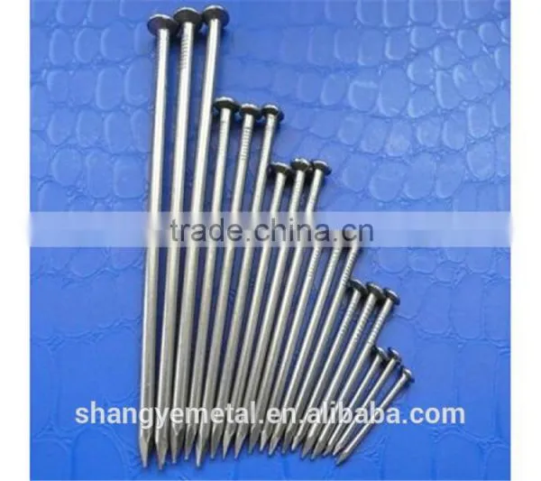 Factory Wire Iron Nail From China
