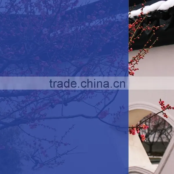 Straw Yellow Color Window Tinting Film, Glass PET Film photo-2