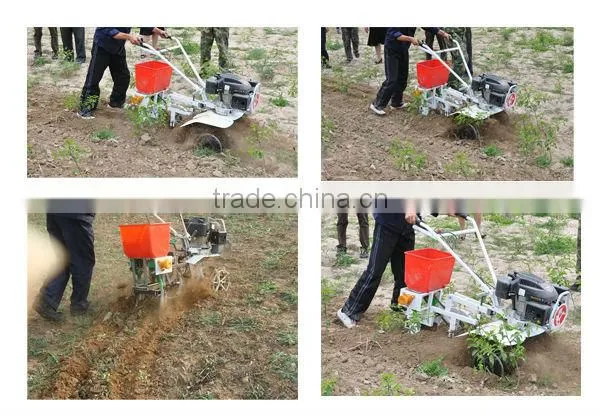 China Little White Dragon Seed Machinery Seed Planter for Corn Small Seed Planter Quality Choice photo-4