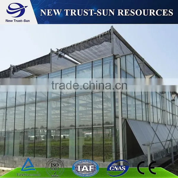 One Stop Service Multi-span Tomato Greenhouse With Glass Covering Material