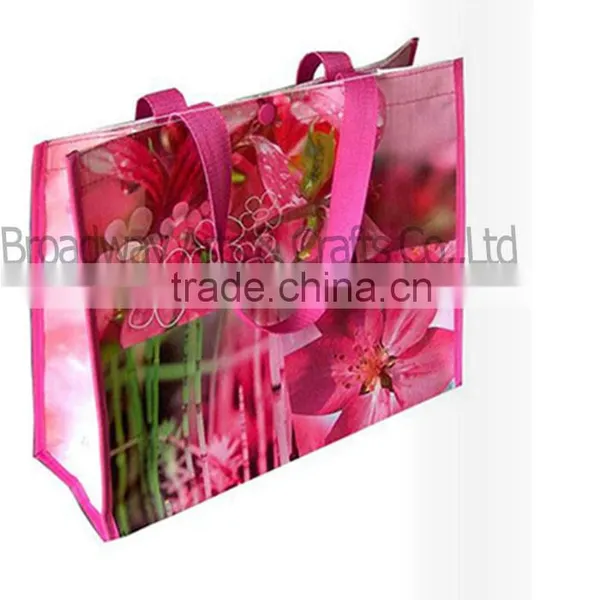 Full Printing Lovely Shopping PP Non Woven Bag photo-4
