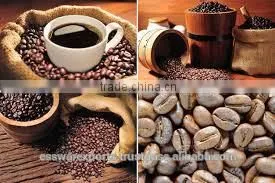 Good Quality of Roasted Coffee Bean From India photo-5