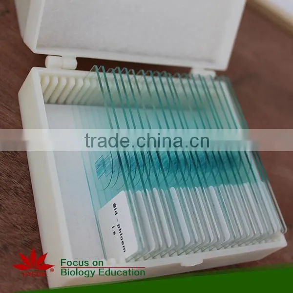 Microscope Prepared Slides ,Stem Slides, Stem of Abnormal Condition Prepared Slides photo-3