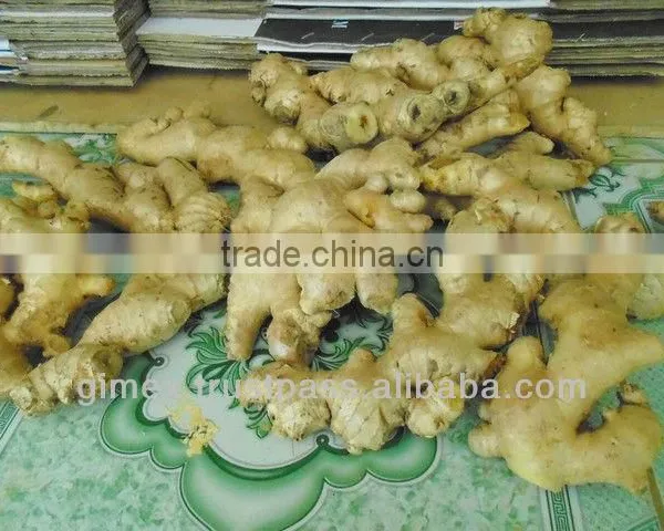 Good Quality Grade A Fresh Ginger