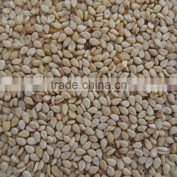 Sesame Seeds-Natural