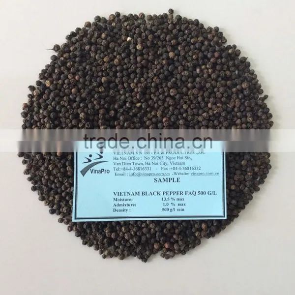 MANUFACTURER OF BLACK PEPPER ALL TYPES HIGH QUALITY photo-2
