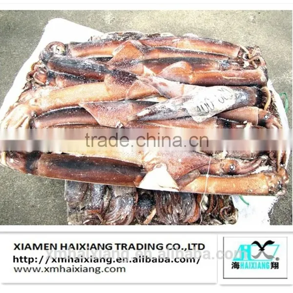Frozen Squid Supplier photo-4