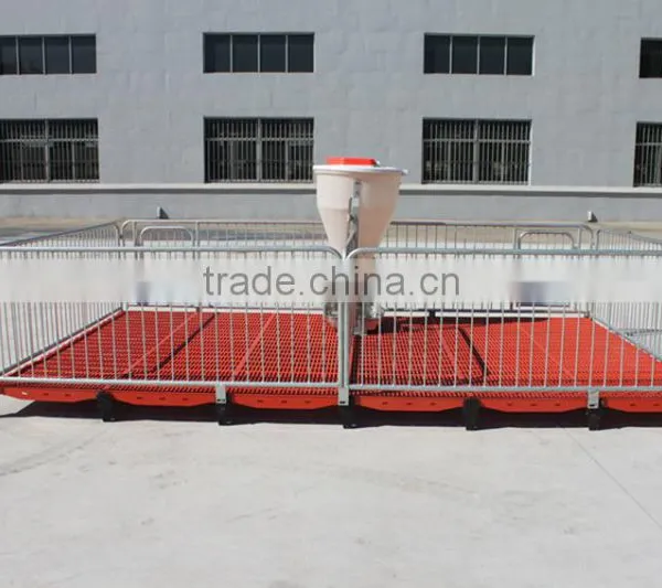 Poultry Feed Processing Equipment Stainless Steel Pigs Stall Nursery Crates photo-6