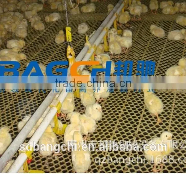 Common Livestock and Poultry Feed