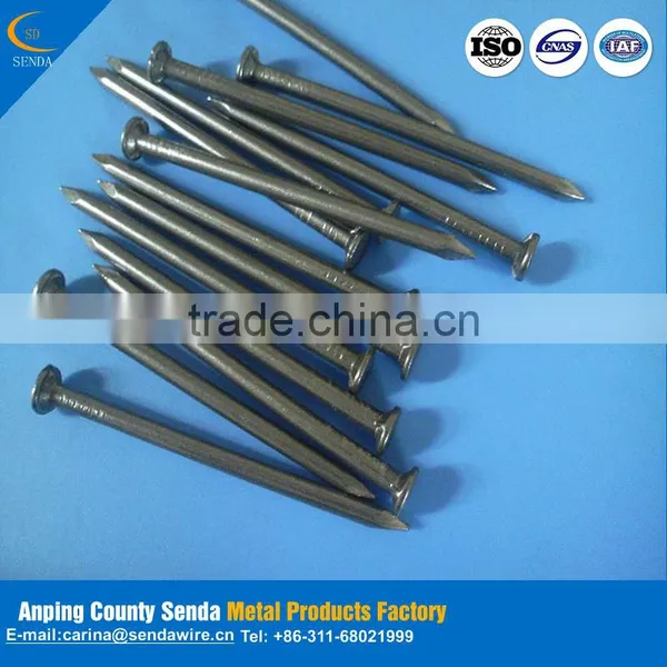 Best Sales Products in Large Concrete Steel Nail photo-2
