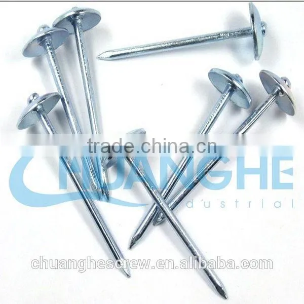Umbrella Head Roofing Nails Factory Super Price photo-2