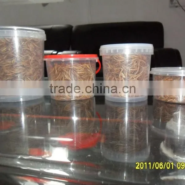 FDA Certification Dried Mealworms for Sale photo-4