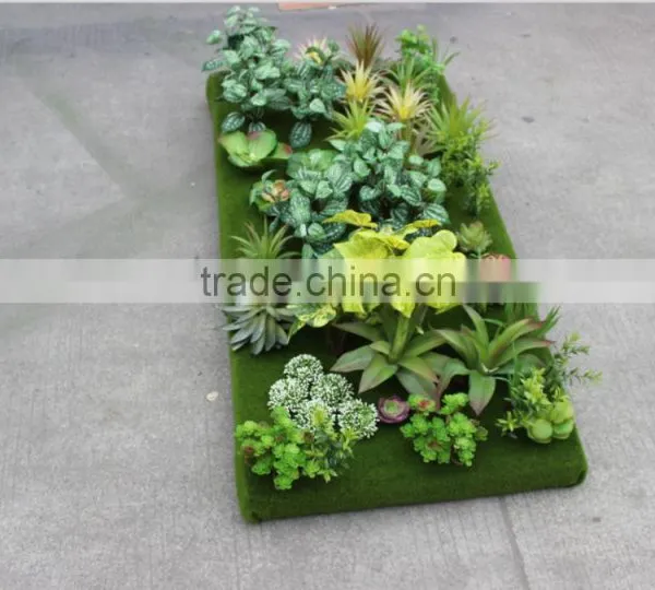 Succulent Plants Green Wall Interior Decoration for Sale photo-2