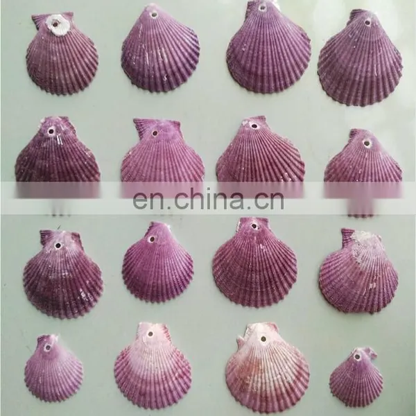DIY Natural Seashell Color Style Charm Shell Accessories for Jewelry Finding photo-5