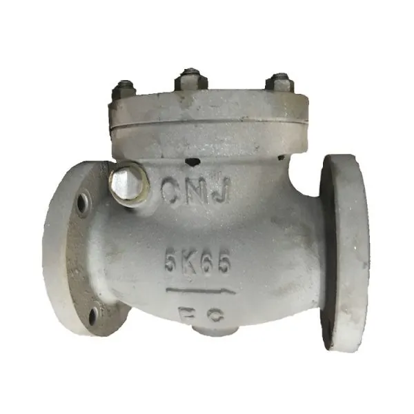 JIS Marine Valve Cast Iron Lift Check Globe Valve F7358 5K