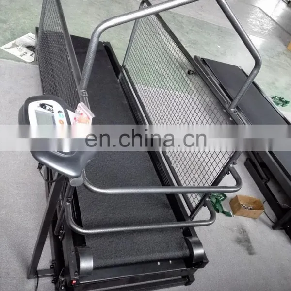 Loading Weight 120kg Dog Treadmill Price photo-4