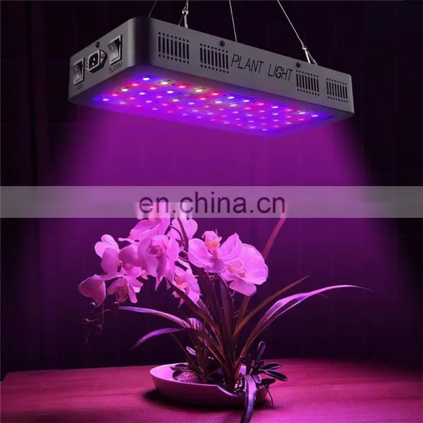 High Quality VEG Bloom Double Switch 600W Full Spectrum Led Indoor Light for Plant Grow Lamp photo-6