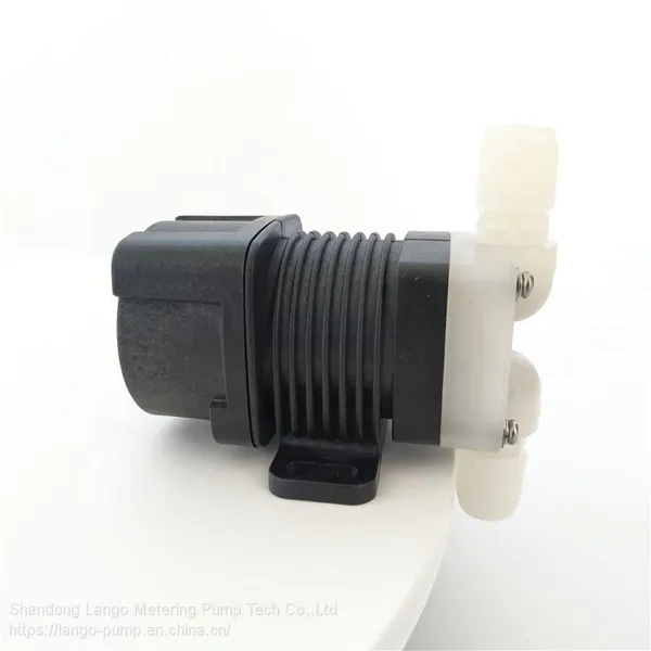3L/H 2bar PH Controller Dosing Metering Pump for Boiler photo-2