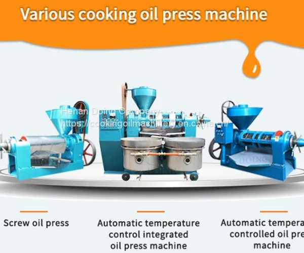 Industry Leading Edible Oil Extraction Machinery Sunflower Oil Extraction Machine photo-5