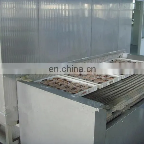 Blast Chiller (barbecued Pork Slice)/ Quick Freezing Machine / IQF Freezer photo-5